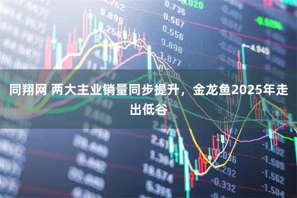 同翔网 两大主业销量同步提升，金龙鱼2025年走出低谷