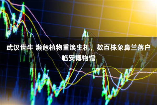 武汉世牛 濒危植物重焕生机，数百株象鼻兰落户临安博物馆
