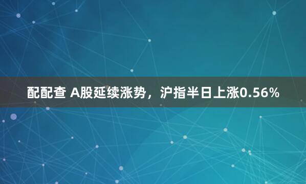 配配查 A股延续涨势，沪指半日上涨0.56%