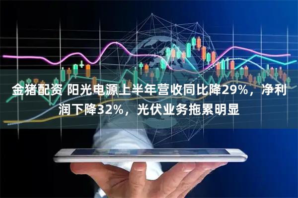 金猪配资 阳光电源上半年营收同比降29%，净利润下降32%，光伏业务拖累明显
